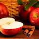 Άρωμα για Κερί Apple & Cinnamon 100gr