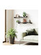 Shelves Wall Black 2pcs 43x18x10cm