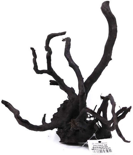 Aquadeco Black Moor Wooden M 25-30cm Per Piece