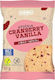 Μπισκότα Πρωτεΐνης Cranberry Vanilla Vegan 50gr