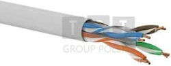 Q-Lantec U/UTP Cat.6a Ethernet Cable 500m Gray Q-Lantec U/UTP Cat.6a Ethernet Cable 500m Gray