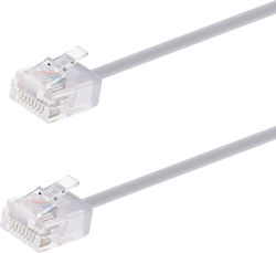 Powertech CAB-N437 U/UTP Cat.6a Καλώδιο Ethernet 0.15m Γκρι