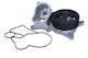 Febi Auto-Wasserpumpe