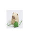 Night Light LED USB