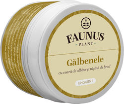Faunus Plant Calendula Marigold Creme für Verbrennungen 50ml Faunus Plant Calendula Marigold Creme für Verbrennungen 50ml