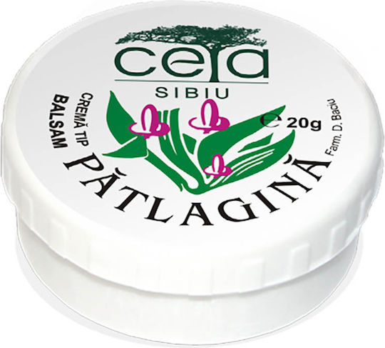 Ceta Sibiu Plantain Ointment for Eczema Κρέμα για Επούλωση 20gr