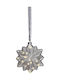 Beauty Home Plastic Christmas Decorative Star 19x8x19cm