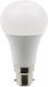 LED Bulb 15W for Socket B22