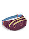 Daylite Waist Bag Burgundy