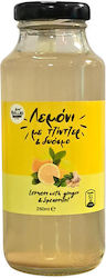 Kollias Băutură din Fructe Suc ghimbir & mentă 250ml 1buc