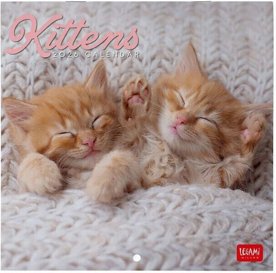 Legami Milano Kittens Monthly Wall Mounted Diary 2026 18x18cm