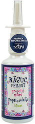 Prisaca Transilvania 20ml