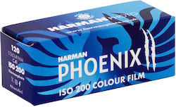 Harman Kardon Color Phoenix Ρολό 120