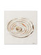 Panou Alb Multi Color Scratched Rose 50x50 Cm
