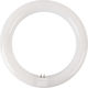 Aca LED Bulb 15W Fluorescent Type 225mm for Socket G10Q and Shape T9 Cool White 1500lm