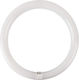 Aca Λάμπα LED 19W Τύπου Φθορίου 298mm για Ντουί G10Q και Σχήμα T9 Ψυχρό Λευκό 2000lm