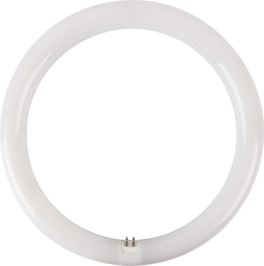 Aca Λάμπα LED 19W Τύπου Φθορίου 298mm για Ντουί G10Q και Σχήμα T9 Ψυχρό Λευκό 2000lm
