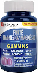 Forte Pharma Forté Magneziu 45 Gummies Forte Pharma Forté Magneziu 45 Gummies