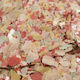 Epigasos Tropical Fish Food Flakes 1000gr