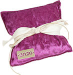 Beauty Home Frozen Christmas Decorative Pillow ...