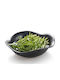 Yuk Melamine Salad Bowl Black 34x10cm