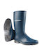 Dunlop Arbeitssicherheitsstiefel Blau