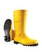 Dunlop Work Wellies Yellow