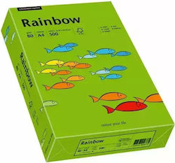 Papyrus Rainbow Colored Paper 88042673 *218140706 Dc A4 80 G/m² 500 Sheets Deep Green
