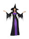 Carnival Costume Witch