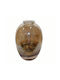 Art et Lumiere Decorative Vase Brown 26.5x26.5x41cm