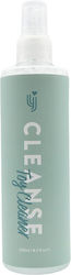 Loving Joy Sexspielzeug-Reiniger 250ml