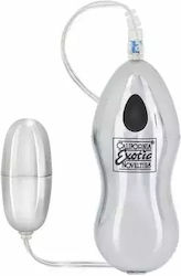Mini Massager Calexotics 054227 10-355 Vibratin...