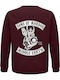 Sweatshirt Unisex Organic " Sons Mordor Middle Earth " Back Print Burgundy