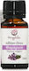 Amygdalea Ätherisches Öl Thymian 12ml