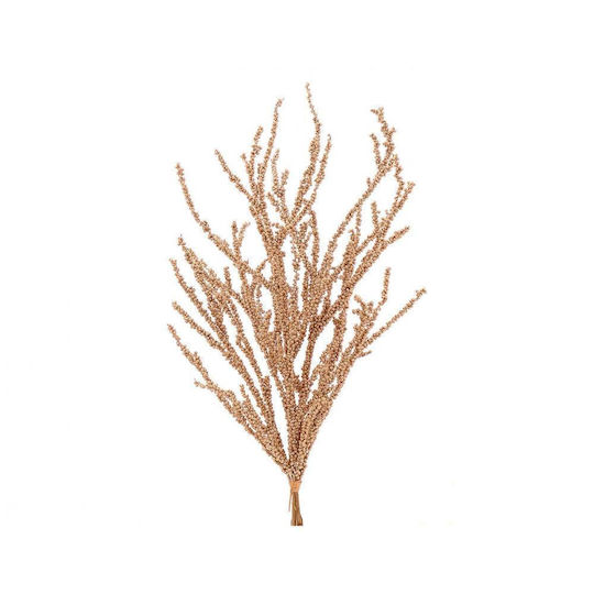 Sucursala Aurie H86cm
