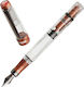 Twsbi Diamond 580alr Affogato With Onyx Fountain Pen Fine Line Width