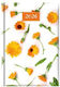 THeofylaktos Theofylaktos Diary Maricold 68999.002