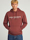 Sweatshirt mit Kapuze Braun
