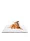 Pillow Dog Rectangle Heated White 100x70cm