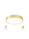 Braytron Blade Ceiling Mount Light 40cm Gold
