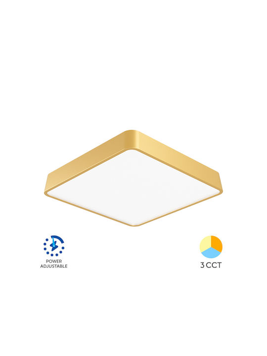 Braytron Blade Ceiling Mount Light 40cm Gold