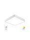 Braytron Blade Ceiling Mount Light 40cm White