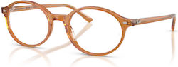 Ray Ban Рамки Ацетатен Скелет Бежов RX5429 8439
