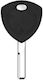 Car Key with Immobilizer