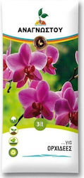 Pad Pentru Piscină De Plantare 3lt Pad Pentru Piscină De Plantare 3lt