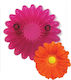 Tăietor pentru Floarea Gerbera Jem