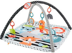 Fisher Price Γυμναστήριο με Μουσική για Νεογέννητα Fisher Price Γυμναστήριο με Μουσική για Νεογέννητα
