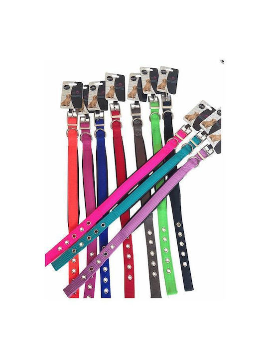 Pet Camelot Hundehalsband Anatomische Polsterung 25mmx65cm Lila