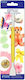 Modeling Tool "scallop & Comb" Pme