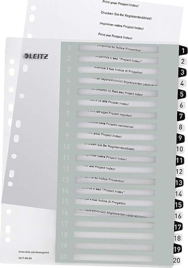 Leitz Plastic Divider for Documents A4